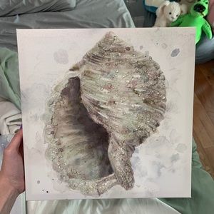 Seashell Wall Art